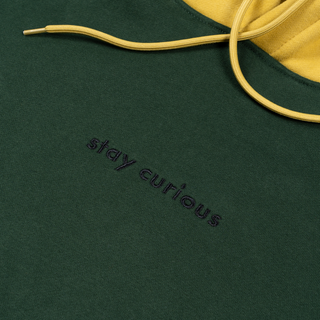 Stay Curious Colorblock Hoodie
