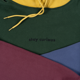 Stay Curious Colorblock Hoodie
